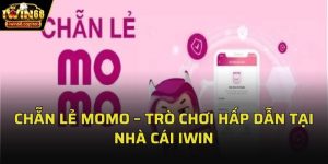 chan le momo