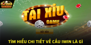 tim hieu chi tieu cau iwin la gi